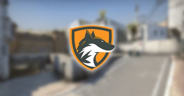 DeftFox: Können vielleicht den ein oder anderen Favoriten ärgern