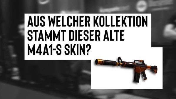 Video: Welcher CS-Spieler weiß des Rätsels Lösung?