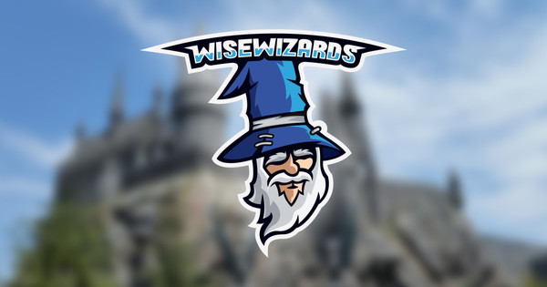 Die WiseWizards misten den Turm aus