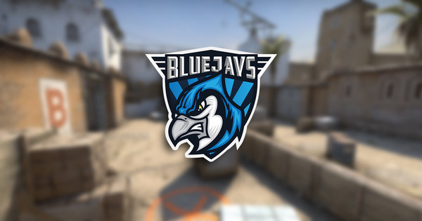 BLUEJAYS stellen Andyy-Ersatz vor