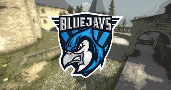 Schwere Vorwürfe gegen BLUEJAYS, Management nimmt Stellung