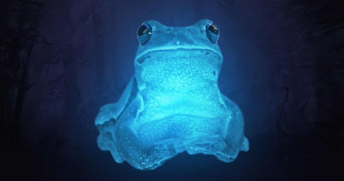 Dota Mysteries: Who Is Icefrog? 