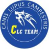 Canis Lupus Campestris*