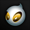 Dignitas B Team