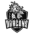 Black Dragons e-Sports
