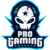 ProGaming e-Sports