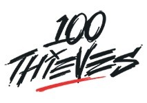 100 Thieves Academy