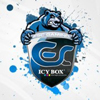 ESC ICY BOX
