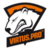 Virtus.pro ladies