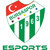 Bursaspor Esports