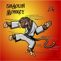 Shaolin Monkey
