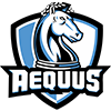 Aequus Club