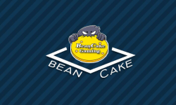 Bean Cake