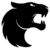 FURIA Esports