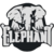 Team Elephant