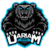 Team Dariam