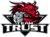 Team Trust
