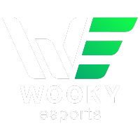 Wooky eSports