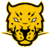 Jaguares Esports