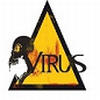 Virus Gaming*
