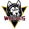 Wolves Gaming