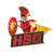 HSG