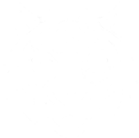 White Tiger