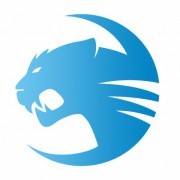Team Roccat