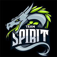 Team Spirit
