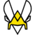 Team Vitality