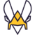 Team Vitality