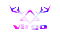Team Virgo