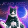 Space Catz