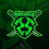 Senshi Gaming