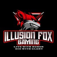 illusion fox gaming