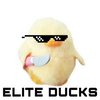 Elite Ducks