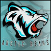 ArcticBears