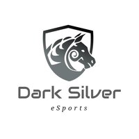 Dark Silver eSports
