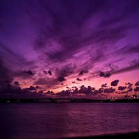 Purple Sky