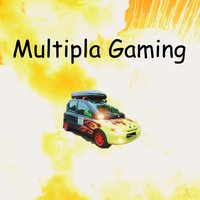Multipla Gaming
