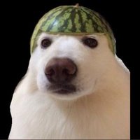 Unfaire Sklaventreiber