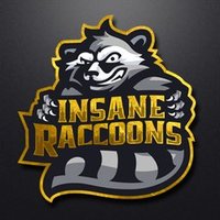 Insane Raccoons Gold