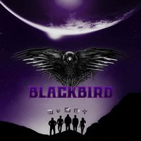Black Bird