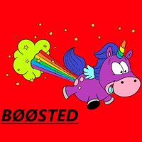 BØØSTED UNICORNS