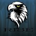 RISE Gaming (TEAM disbands)