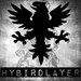 HybirdLayer