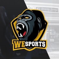WeSports Academy
