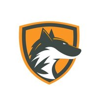 Team DeftFox