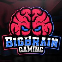 Big Brain Gaming Academy