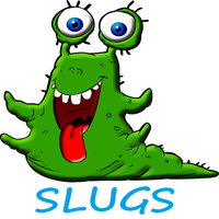 Les SLUGS
